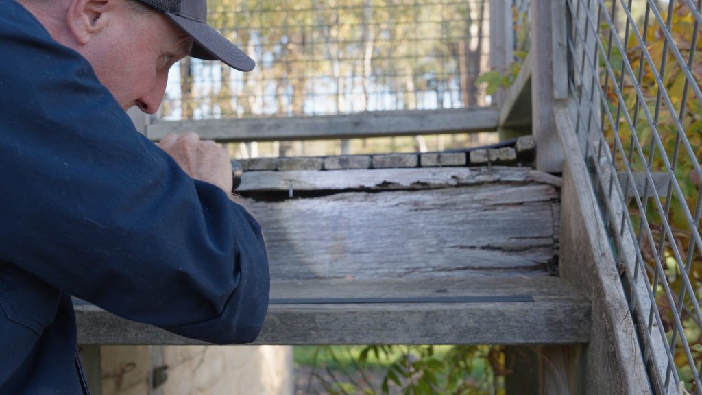 Termite & Timber Pest Inspections