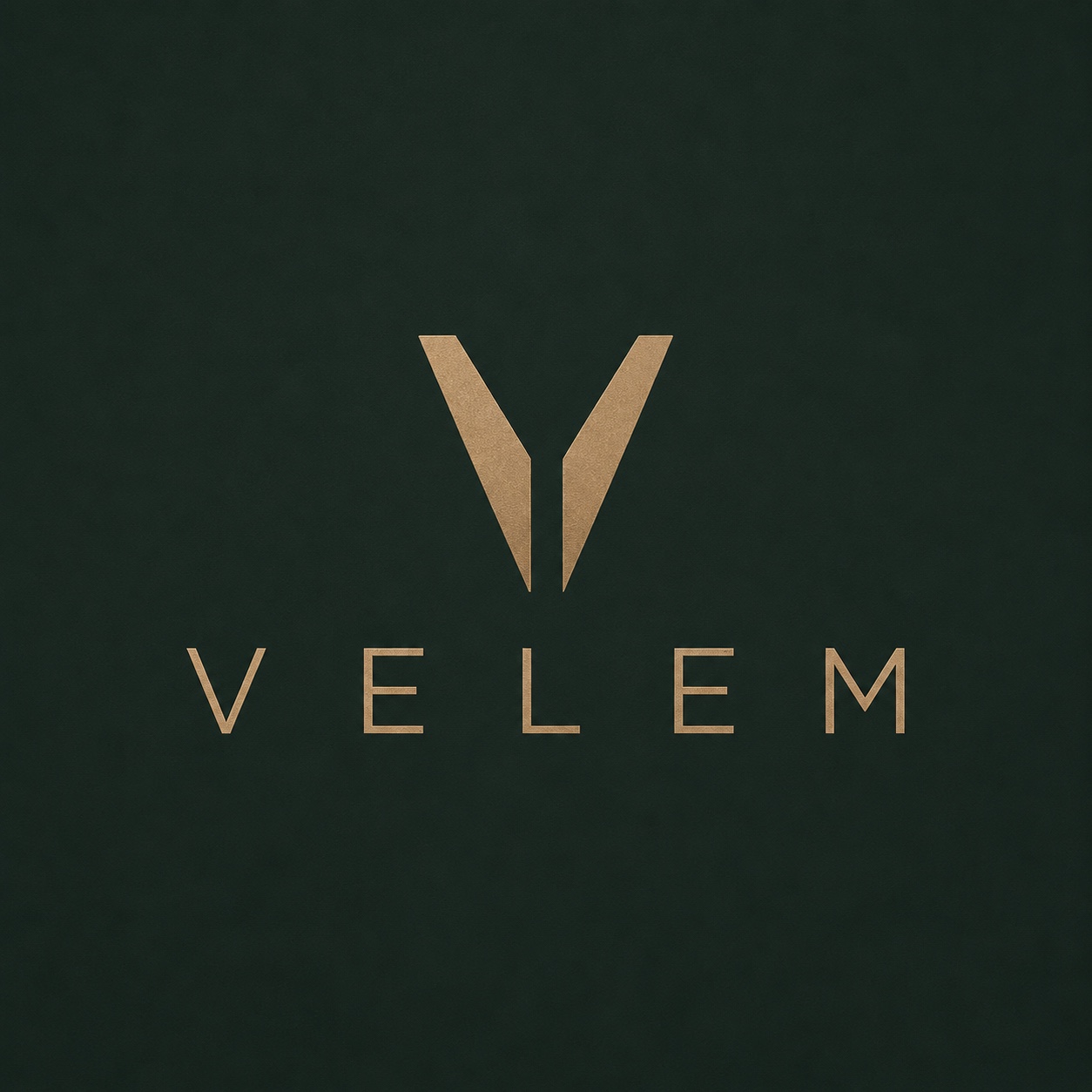 VELEM