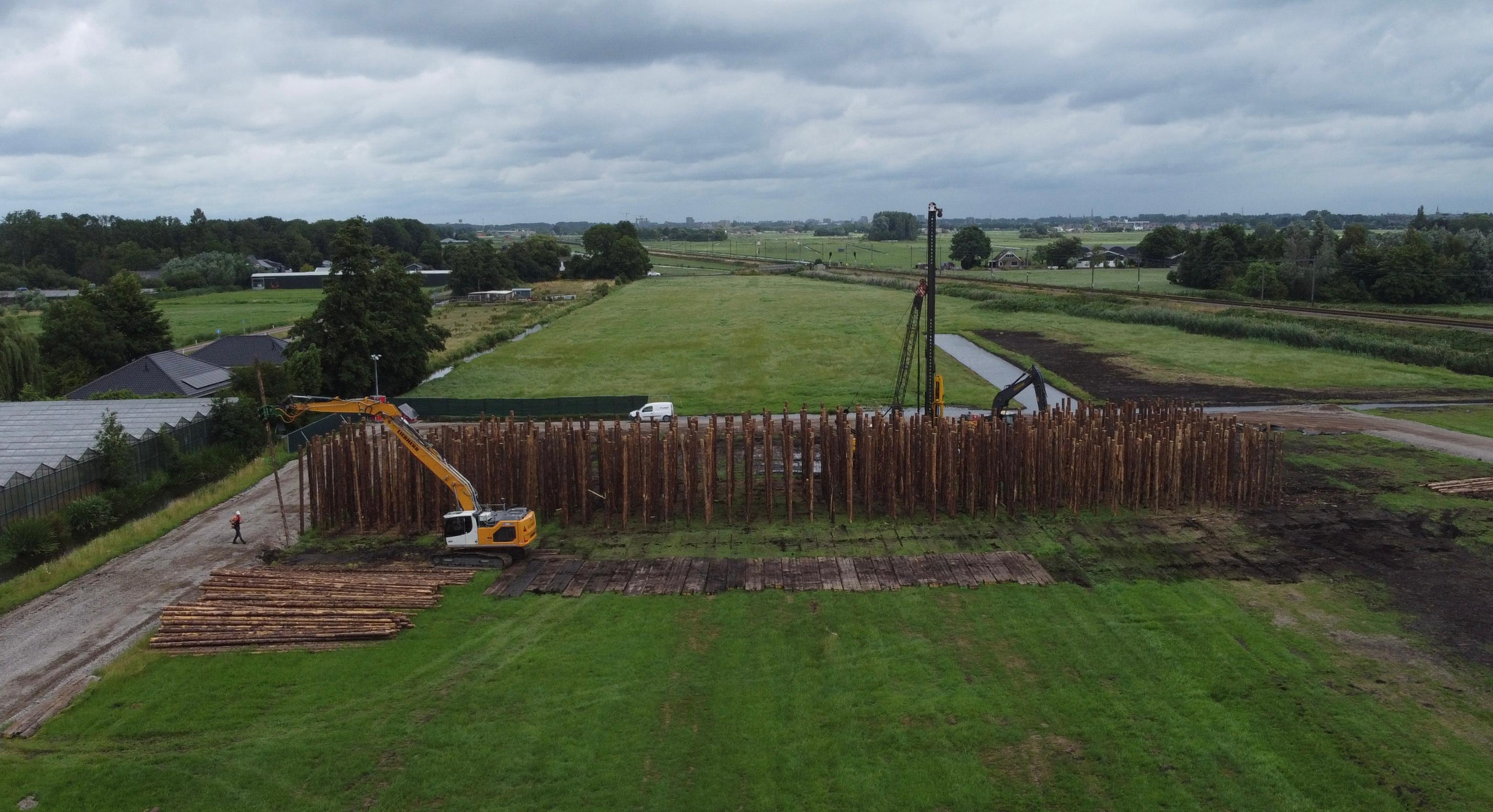 Reforestation project