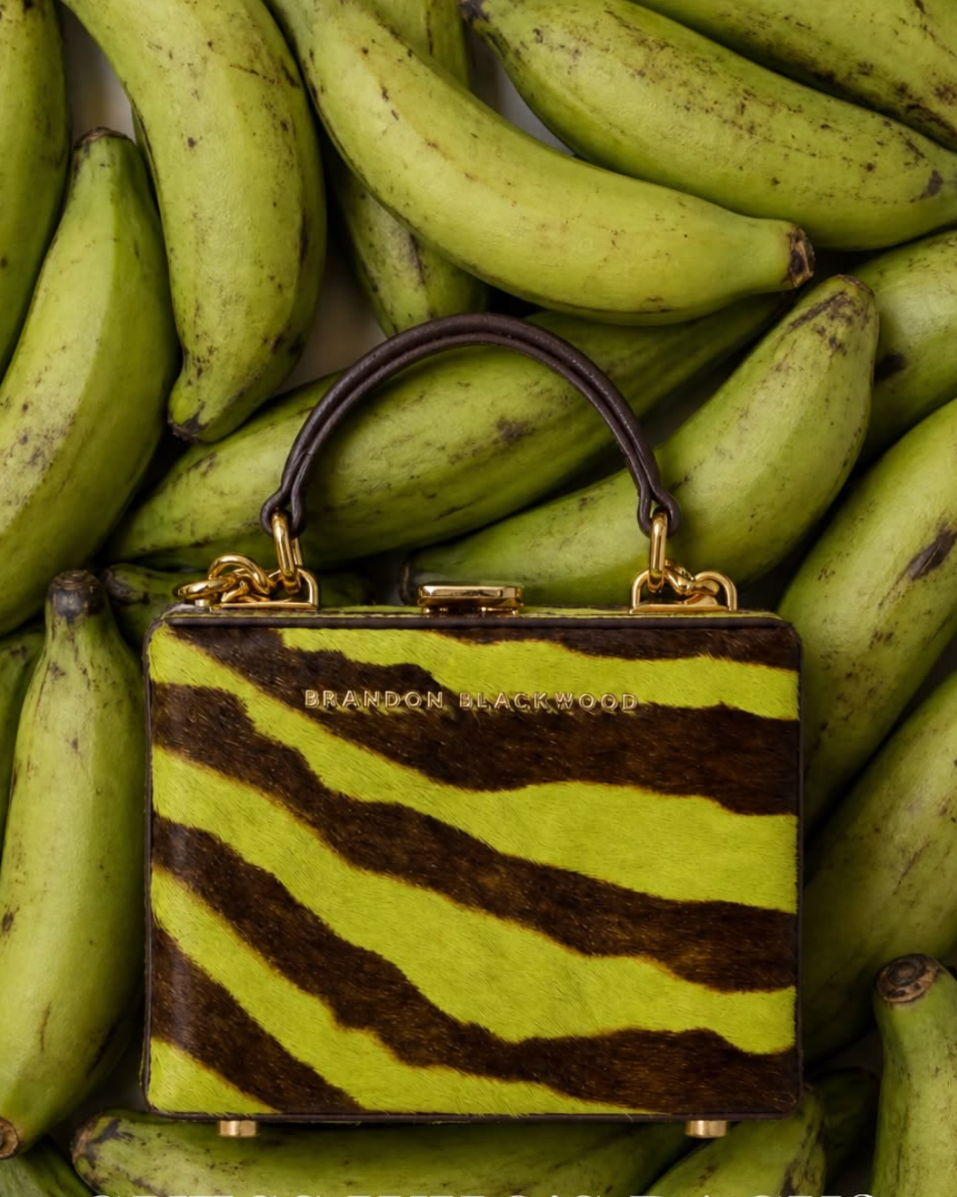 Brandon Blackwood handbag