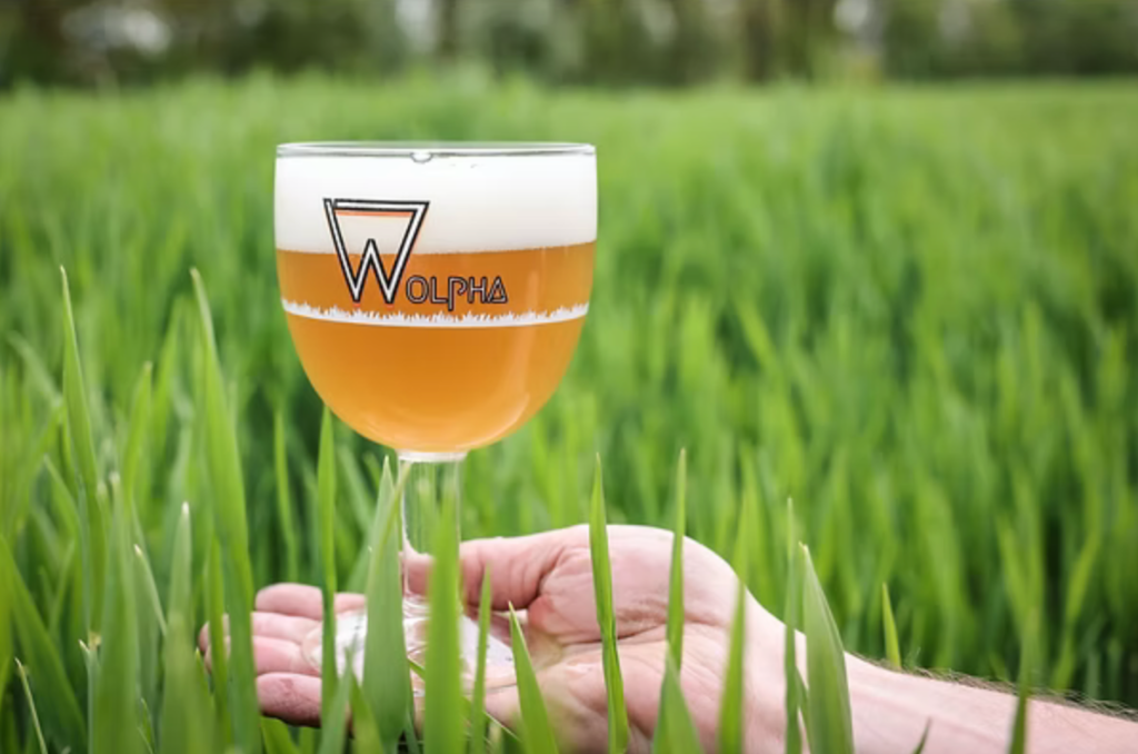 Wolpha Bier - ambachtelijk gebrouwen blond bier uit Wolphaartsdijk
