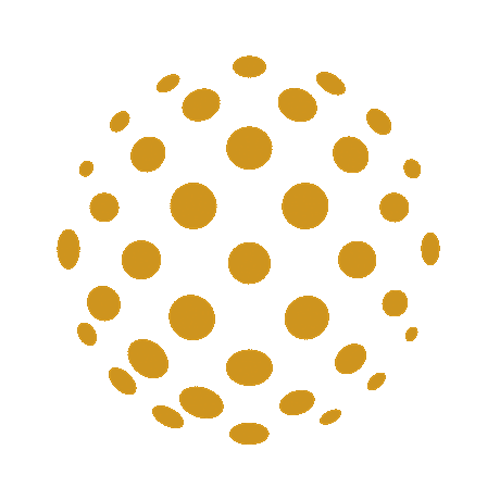 TNBT Capital animated logo