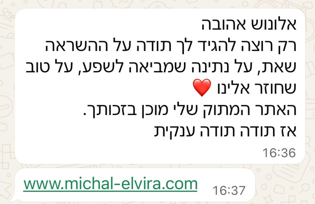 המלצה 1