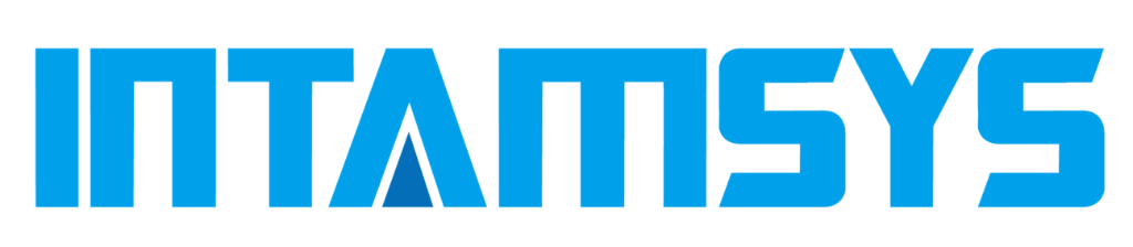 Intamsys