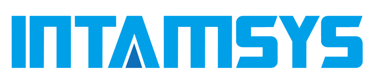 Intamsys Logo