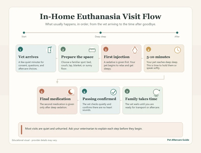 Step-by-step in-home pet euthanasia visit flow for the at-home euthanasia article