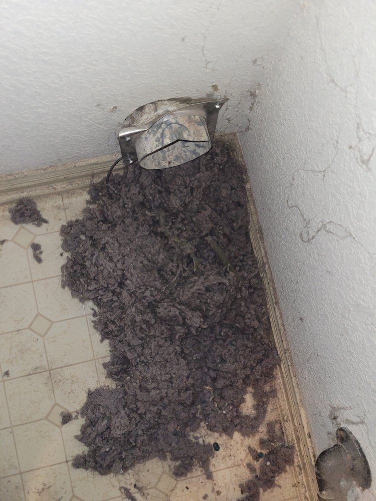 Clean Chimney Flue — Chimney Sweep in Charlotte, NC