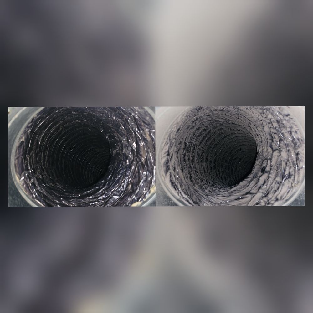 Mold in Air Handler — Air Duct Cleaning in Charlotte, NC