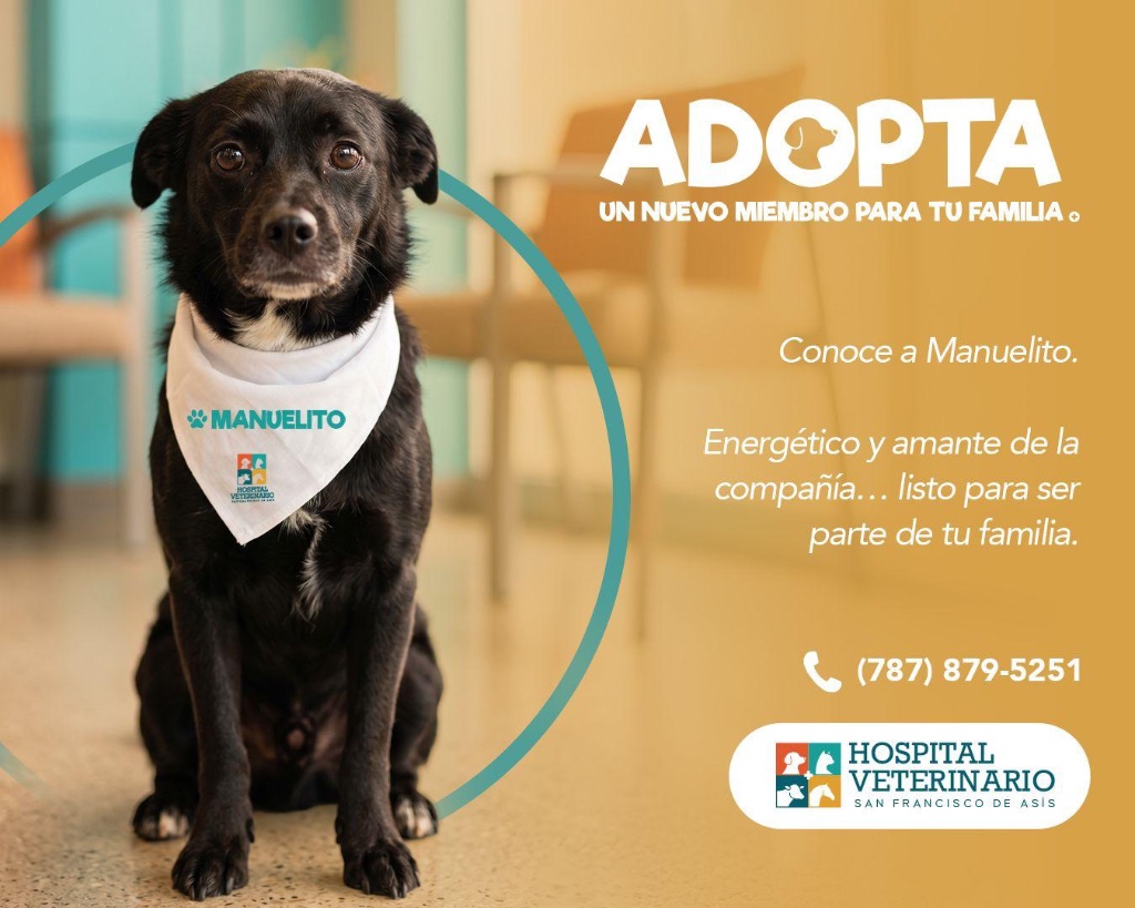 Manuelito