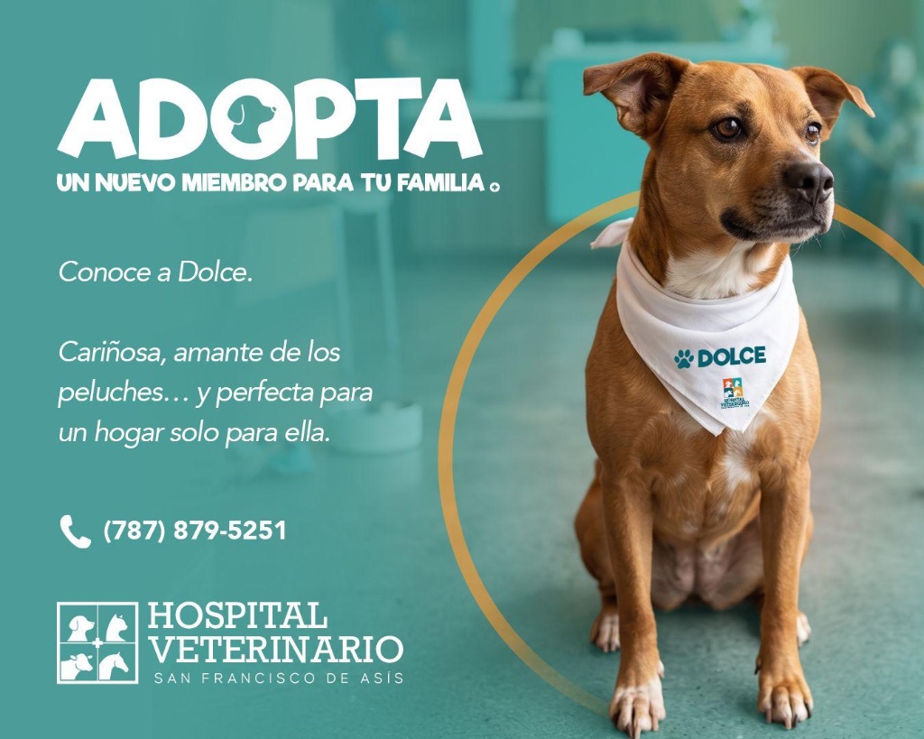 Dolce