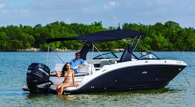 Sea Ray 29