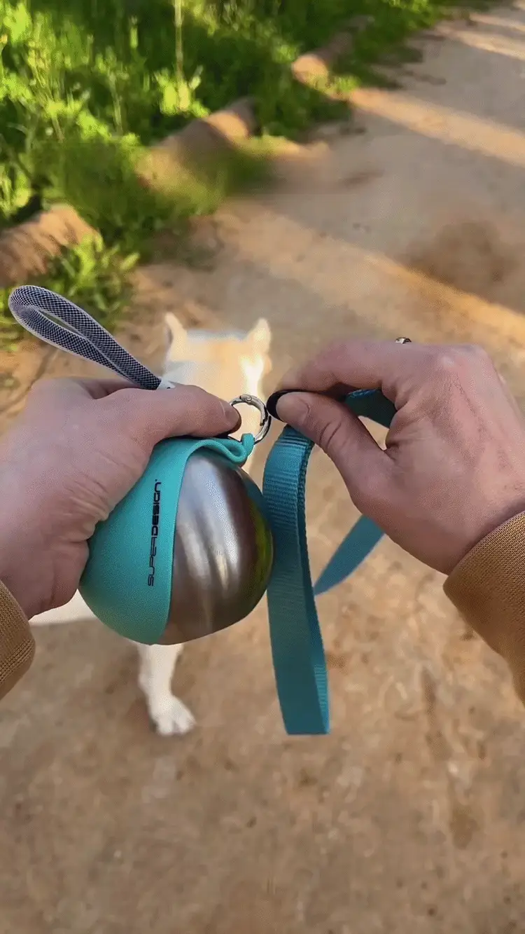 Bottle clipped to leash while walking