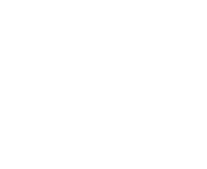 E-FOIL