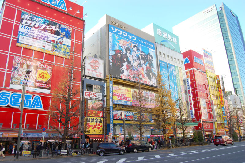 Personal shopping in Akihabara