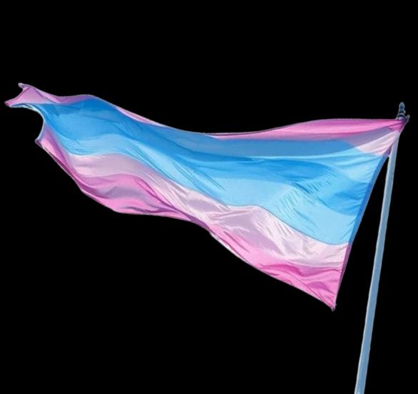 Trans Pride Flag