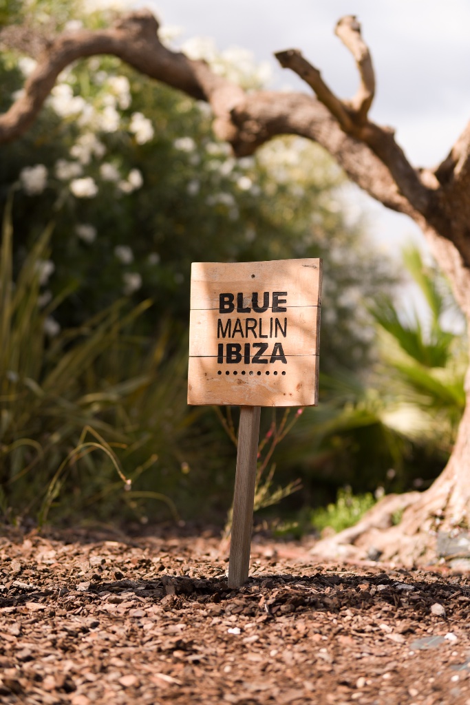 Luxury Ibiza Corporate Celebration - event gallery image 6