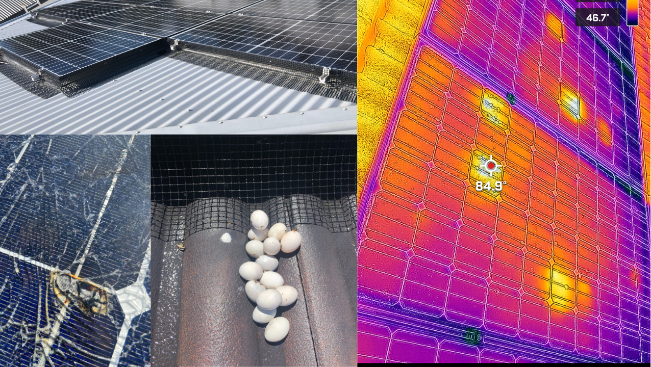 iSaveSolar thermal diagnostics, pest mesh, and panel cleaning examples