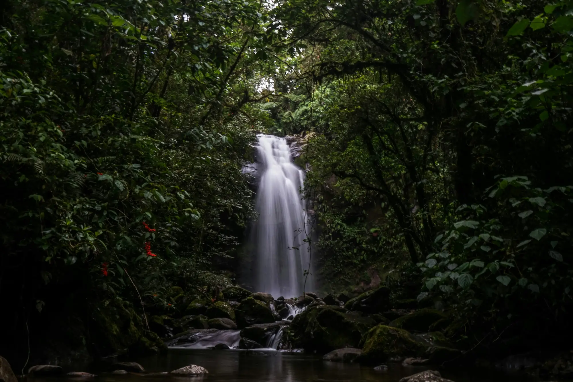 Waterfall in the Panamanian rainforest
