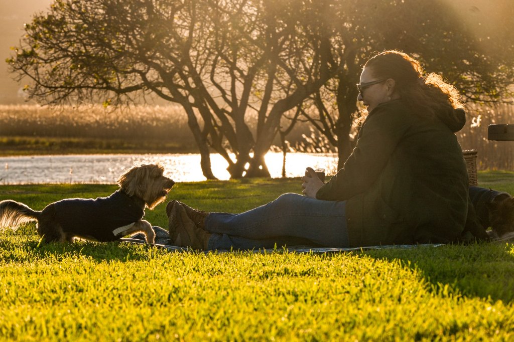 Sunset with a four-legged friend