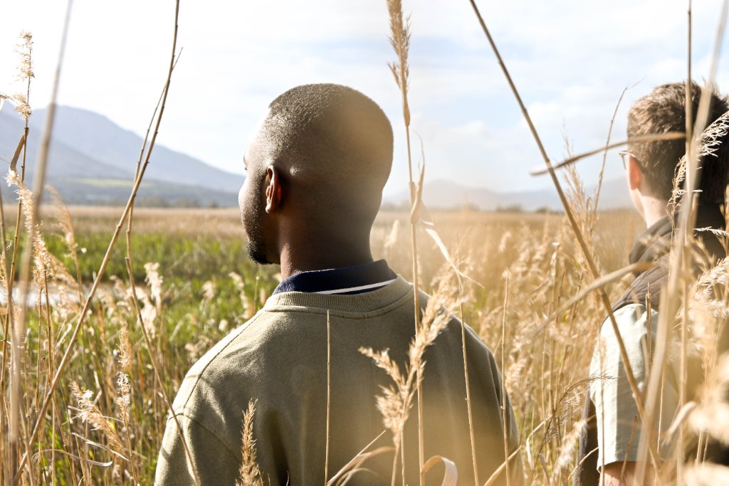 Looking out over the marshland
