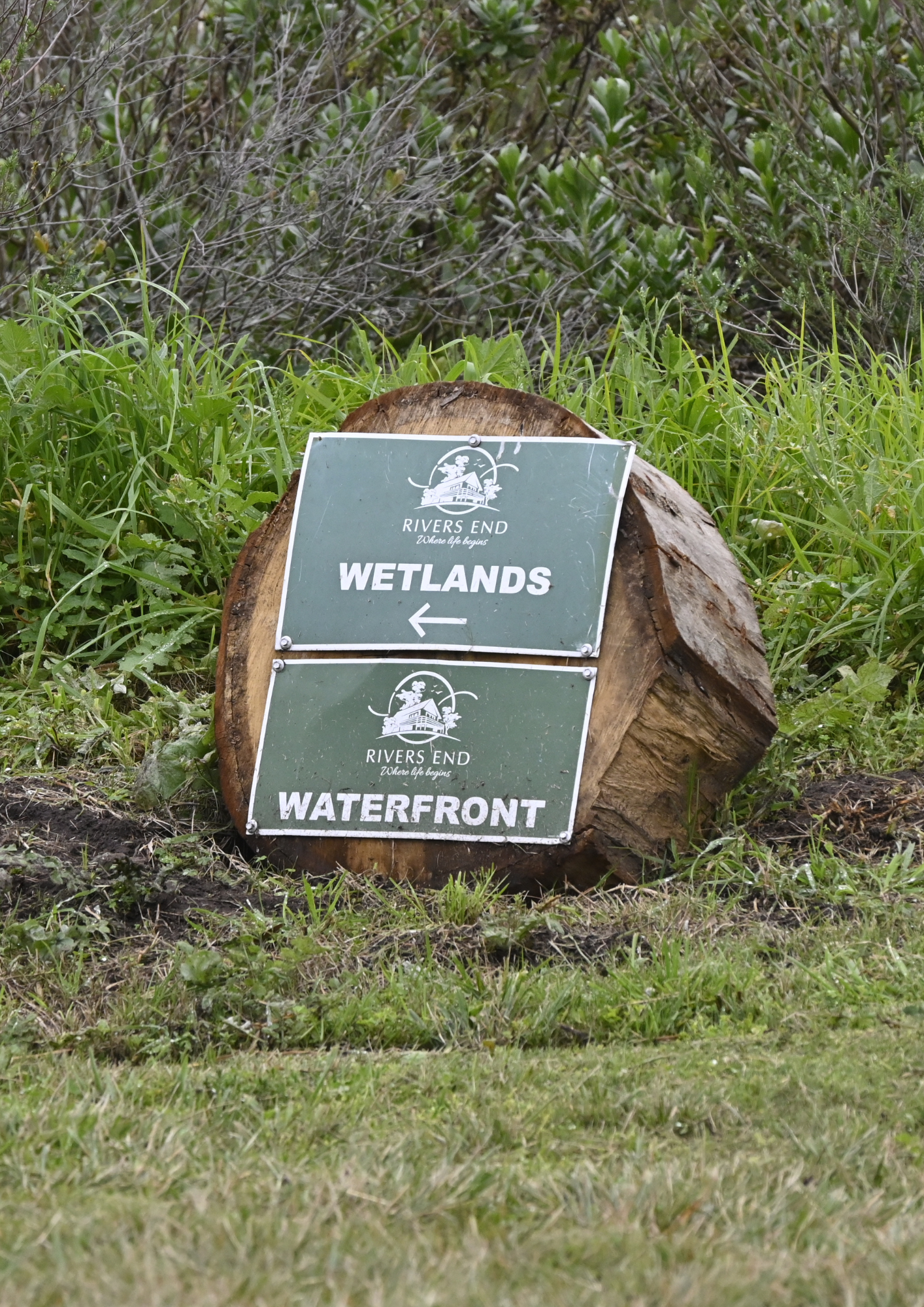 Wetlands