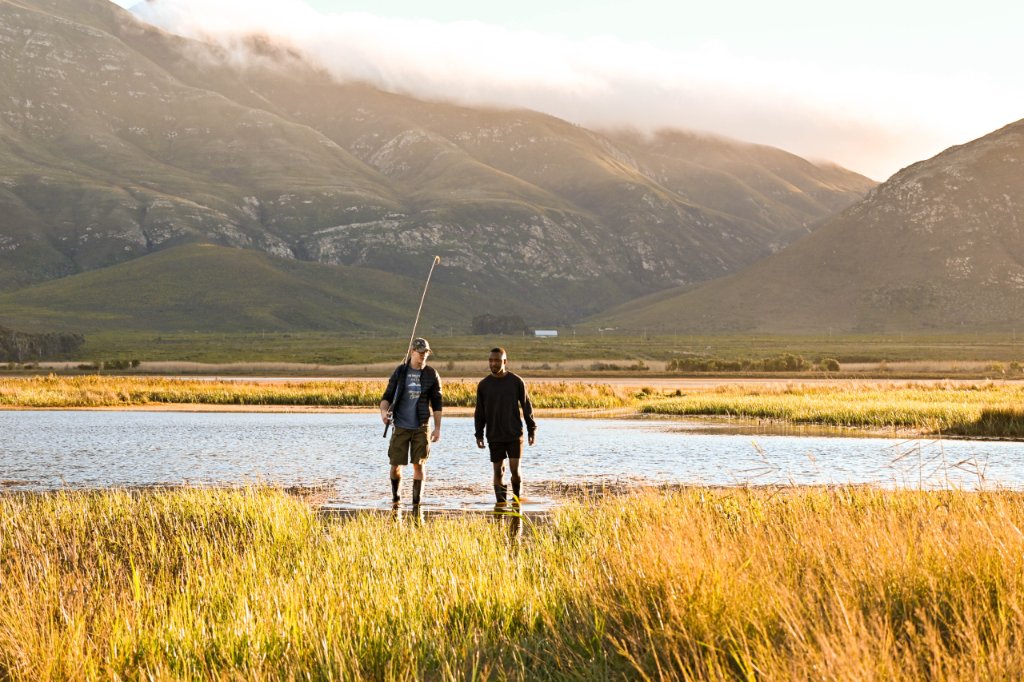 Wetlands at Golden Hour
