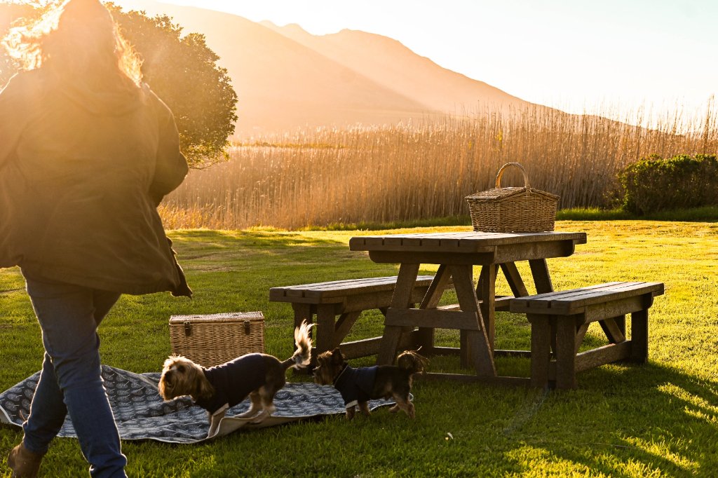 Life on the Land