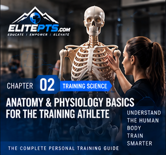 Chapter 2 card: Anatomy & Physiology Basics for the Training Athlete