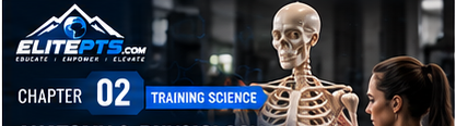 Chapter 2 header: Anatomy & Physiology Basics for the Training Athlete