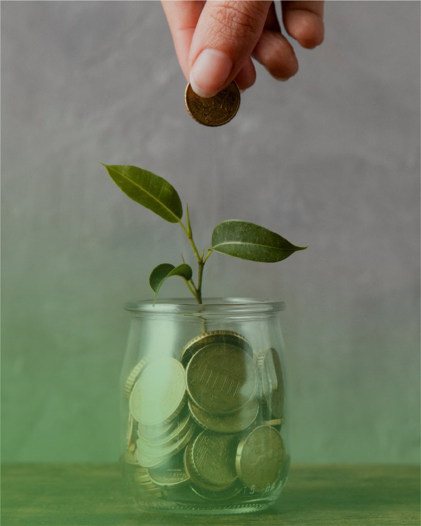 Ahorro Obligatorio