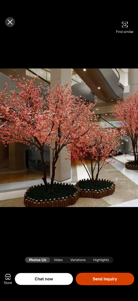 Elegant pink blossom tree
