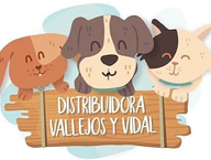 Distribuidora Vallejos y Vidal logo