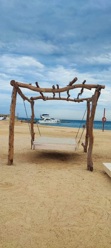 Driftwood beach swing by the Red Sea