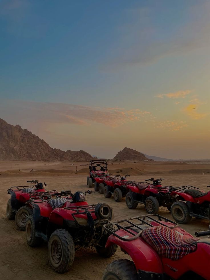 Quad bikes lined up at sunset in the Eastern Desert