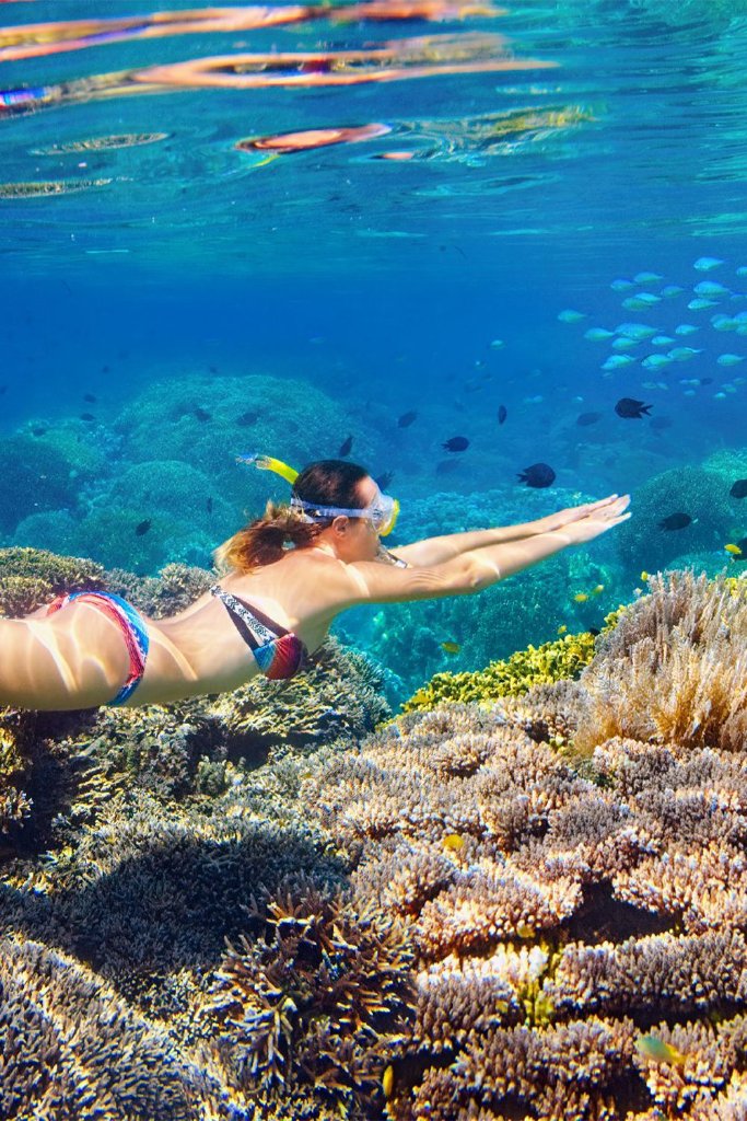 Snorkelling over vibrant coral reef in the Red Sea