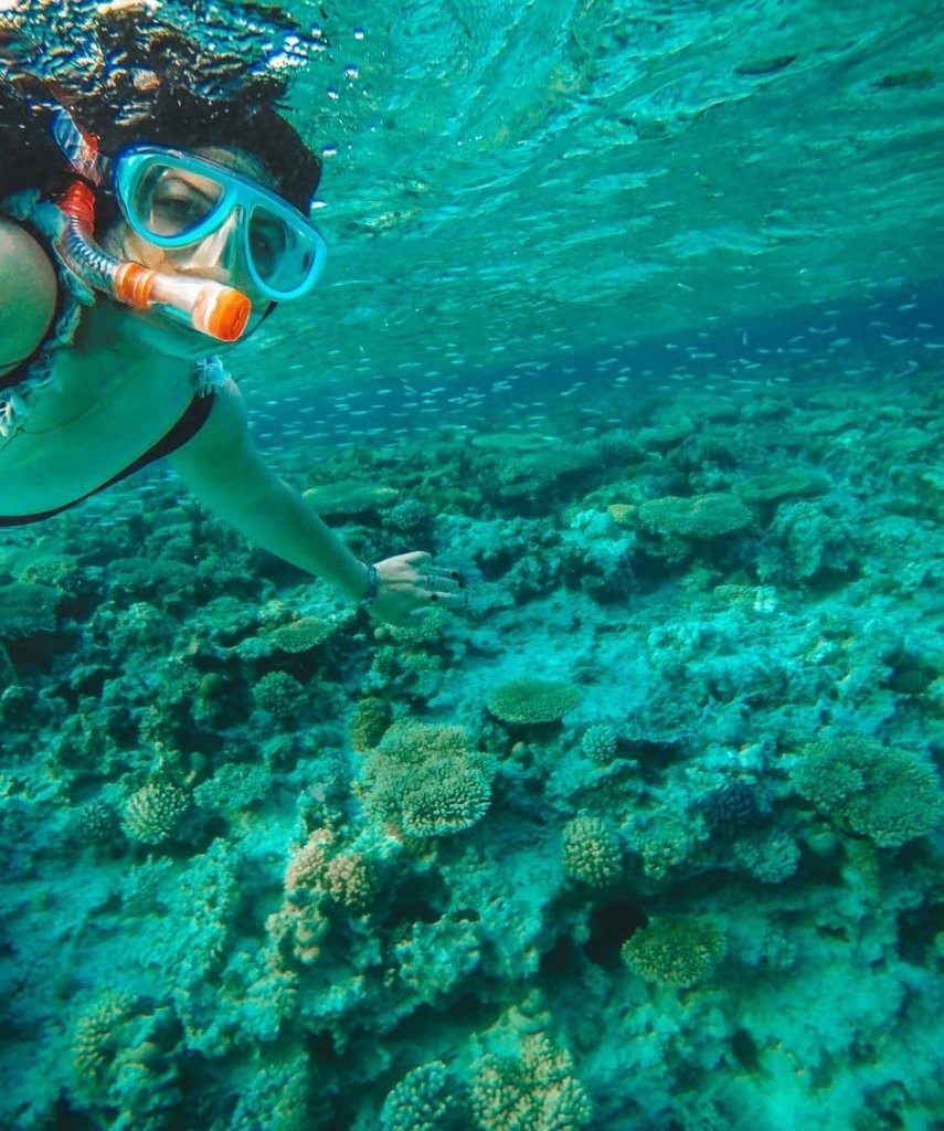 Diver exploring turquoise coral reef in the Red Sea