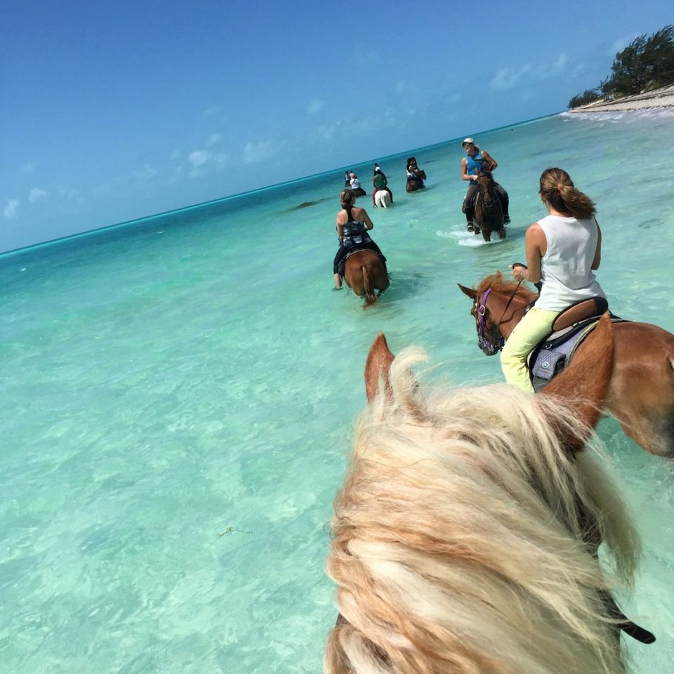 Red Sea Horse Riding