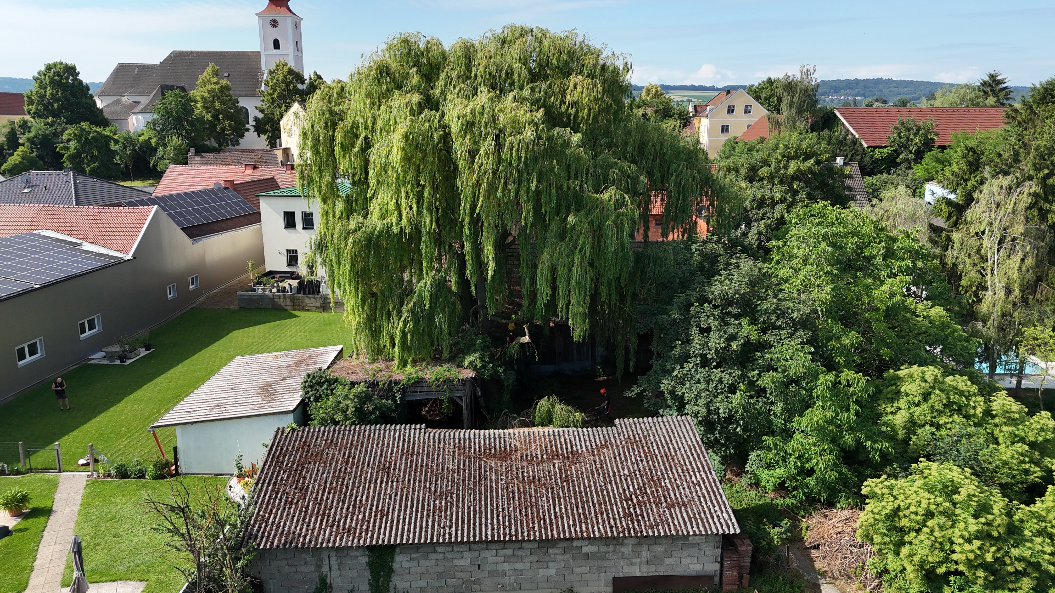 Der Ausgangsbefund