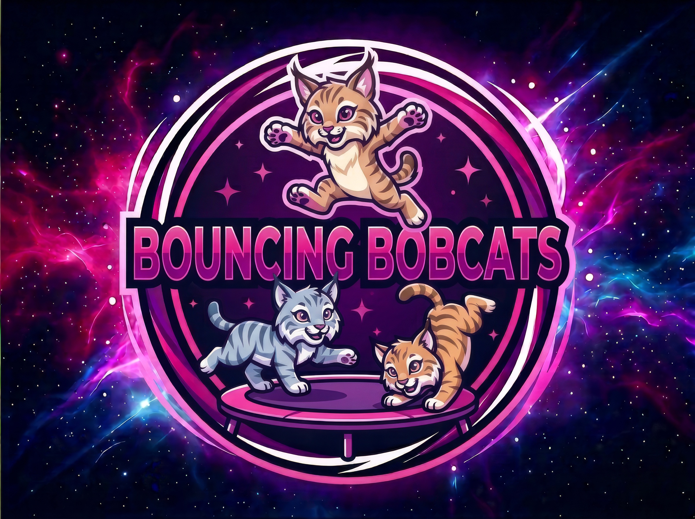 Bouncing Bobcats gymnastics program
