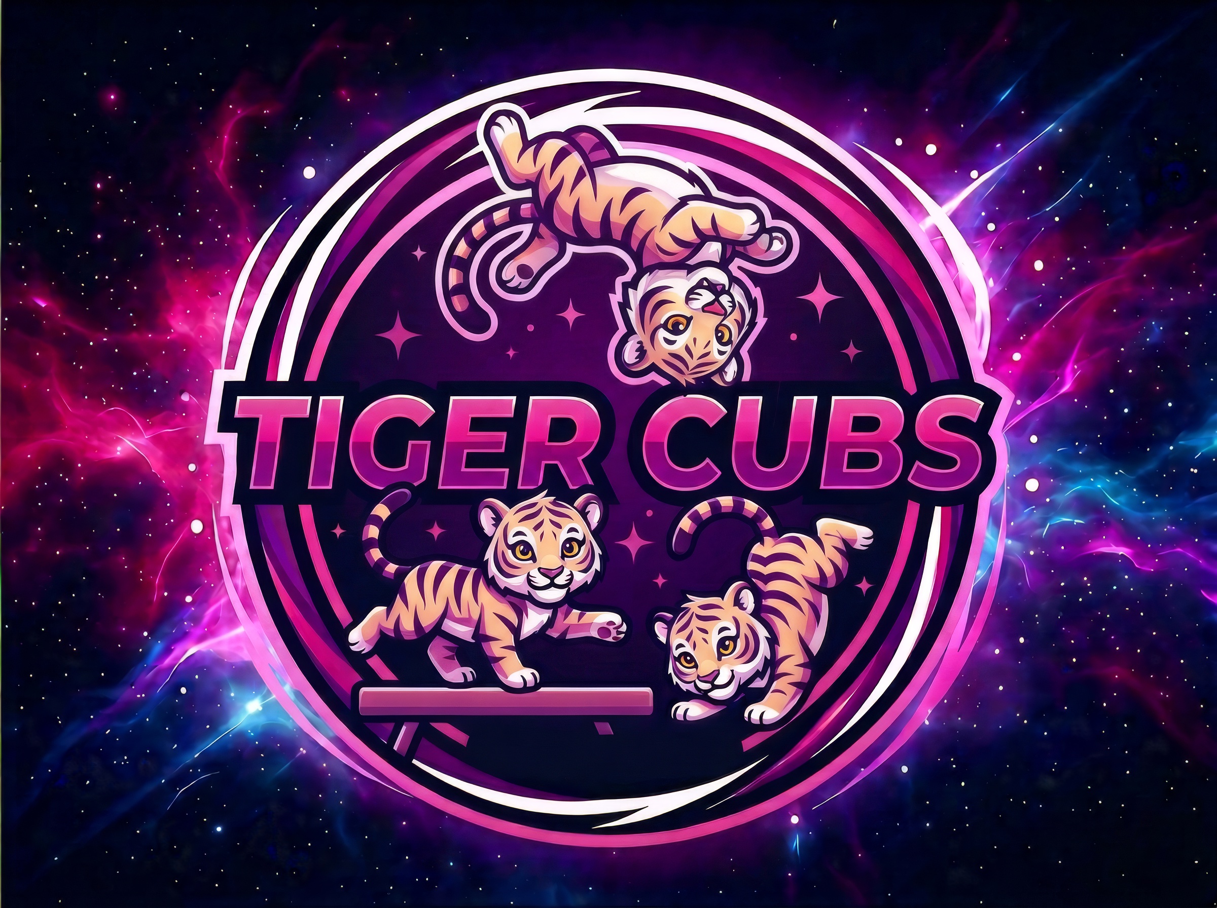 Tiger Cubs gymnastics program