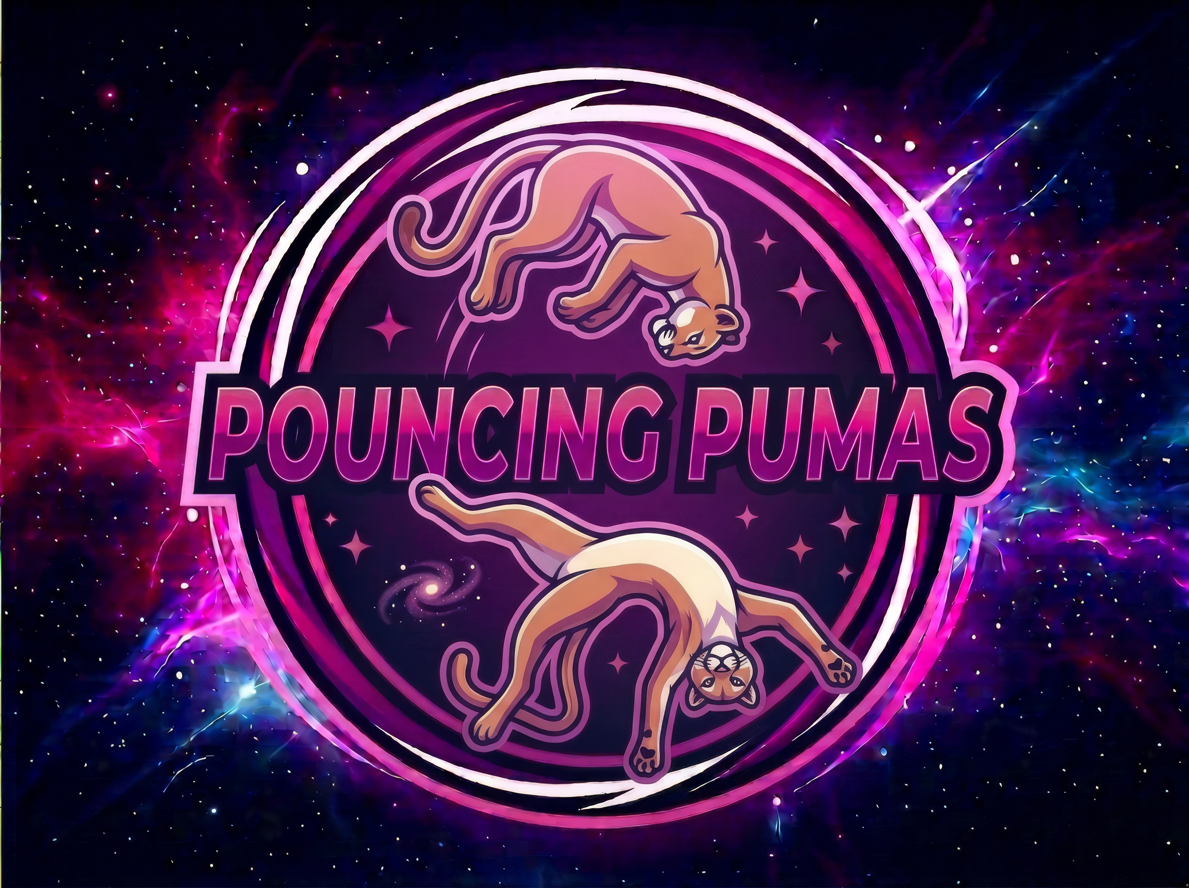 Pouncing Pumas gymnastics program