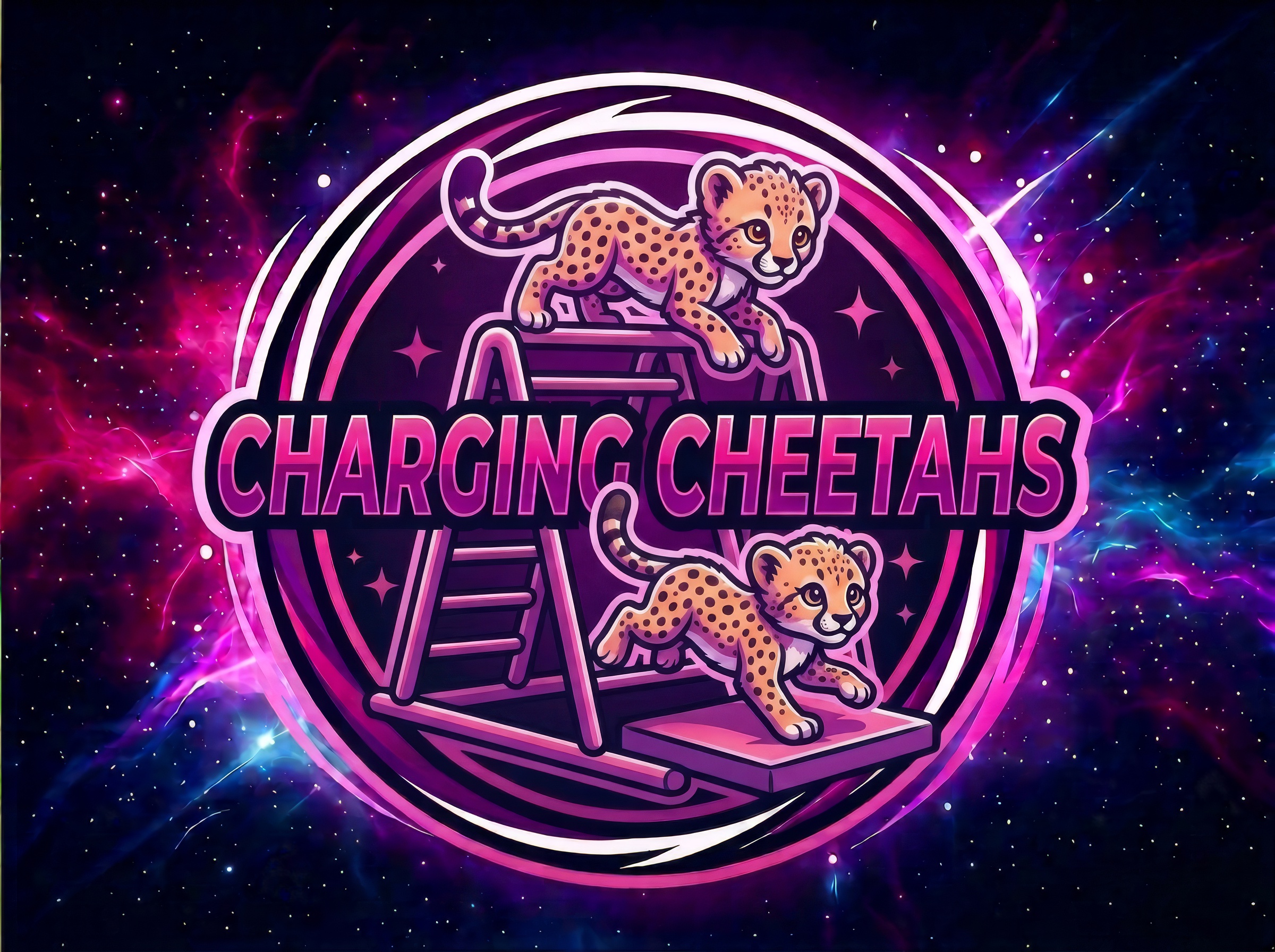 Charging Cheetahs gymnastics program