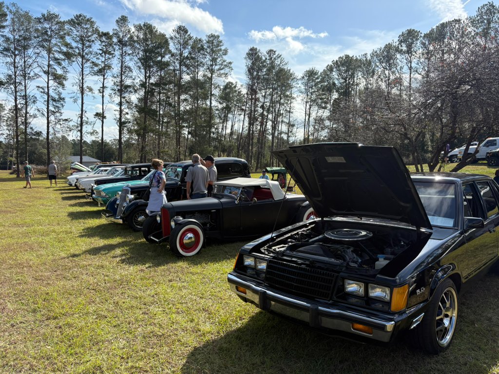 Row of iron — hot rods and customs side by side on the grass