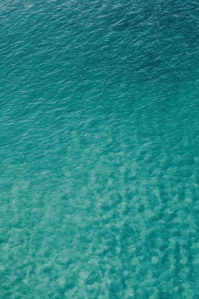 Shallow Reef