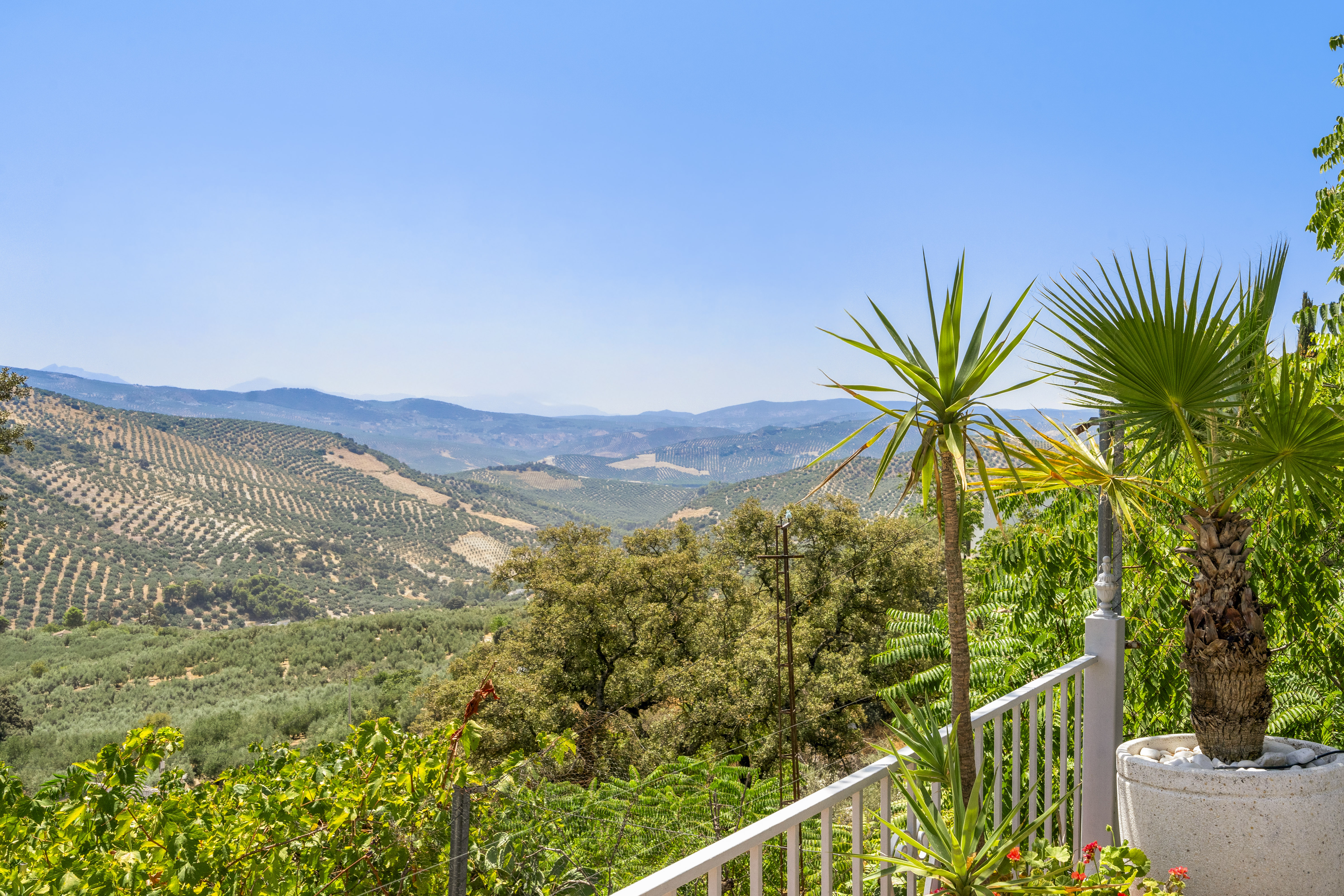 Finca with Two Independent Homes for Sale in Iznájar, Córdoba - Image 5