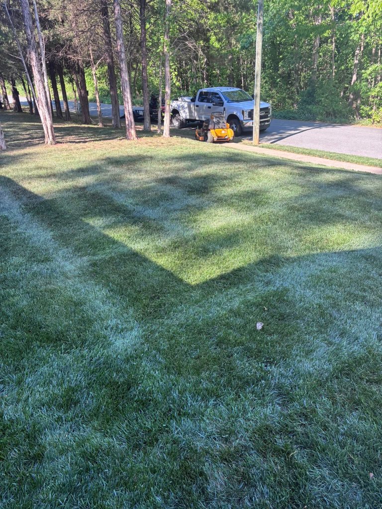Morning mow — perfect results