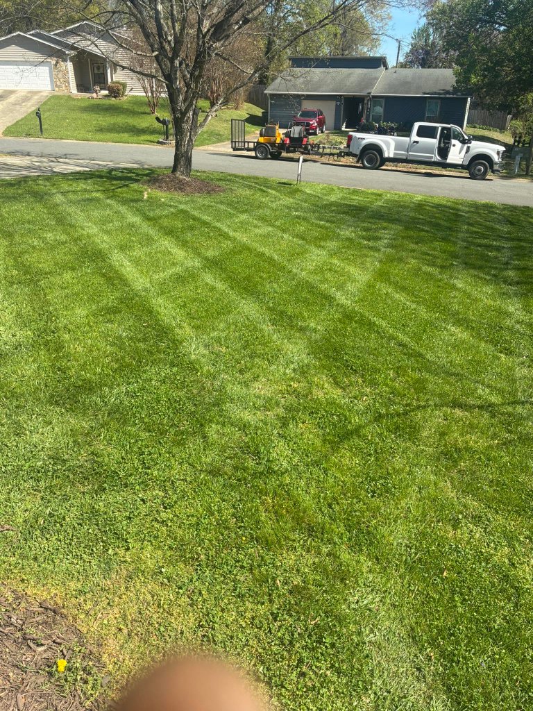 Beautiful front lawn — bench detail