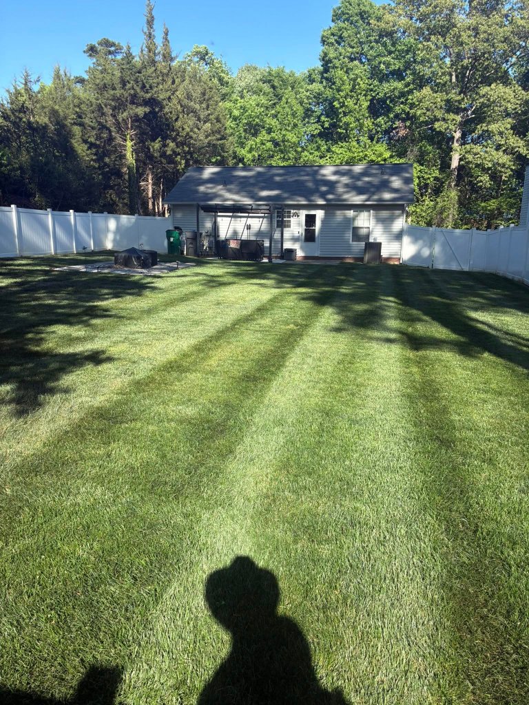 Backyard transformation