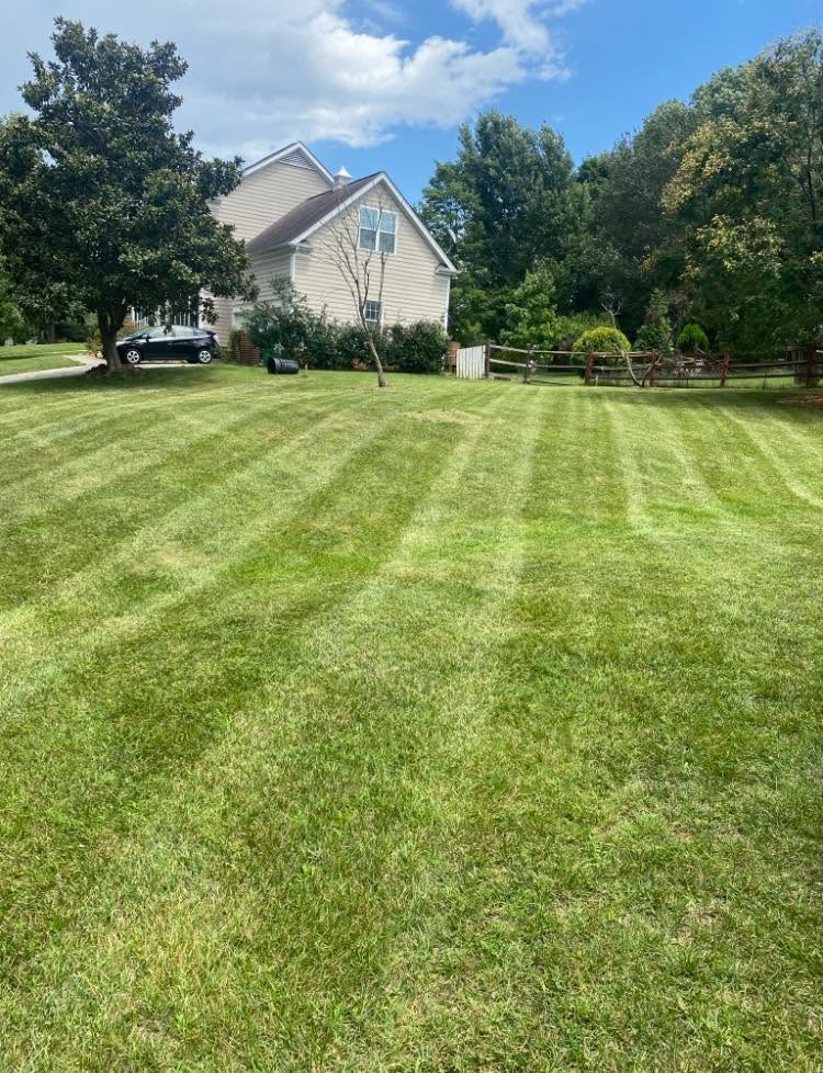 Crisp stripes — large residential lot