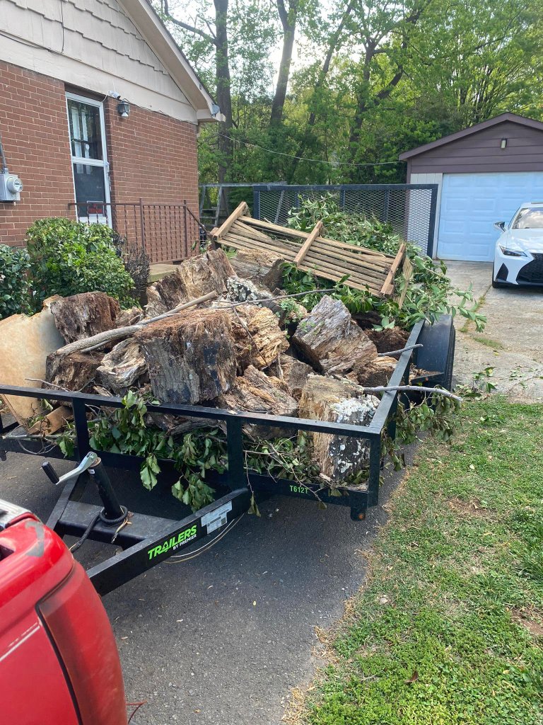Storm debris & tree removal